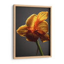 Flores De Estudio Xi - James McLoughlin | Cuadro decorativo de Canvas Lab