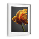 Flores De Estudio Xi - James McLoughlin | Cuadro decorativo de Canvas Lab