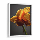Flores De Estudio Xi - James McLoughlin | Cuadro decorativo de Canvas Lab