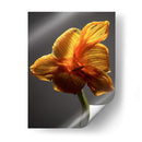 Flores De Estudio Xi - James McLoughlin | Cuadro decorativo de Canvas Lab