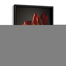 Flores De Estudio Xii - James McLoughlin | Cuadro decorativo de Canvas Lab