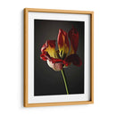 Flores De Estudio Xii - James McLoughlin | Cuadro decorativo de Canvas Lab