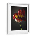 Flores De Estudio Xii - James McLoughlin | Cuadro decorativo de Canvas Lab