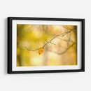 Bosque Corre Yo - James McLoughlin | Cuadro decorativo de Canvas Lab