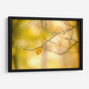 Bosque Corre Yo - James McLoughlin | Cuadro decorativo de Canvas Lab