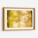 Bosque Corre Yo - James McLoughlin | Cuadro decorativo de Canvas Lab