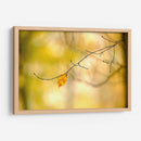 Bosque Corre Yo - James McLoughlin | Cuadro decorativo de Canvas Lab