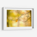 Bosque Corre Yo - James McLoughlin | Cuadro decorativo de Canvas Lab