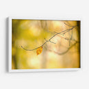 Bosque Corre Yo - James McLoughlin | Cuadro decorativo de Canvas Lab