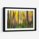 Forest Run Ii - James McLoughlin | Cuadro decorativo de Canvas Lab