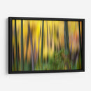 Forest Run Ii - James McLoughlin | Cuadro decorativo de Canvas Lab