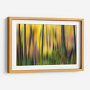 Forest Run Ii - James McLoughlin | Cuadro decorativo de Canvas Lab