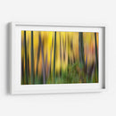 Forest Run Ii - James McLoughlin | Cuadro decorativo de Canvas Lab