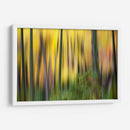 Forest Run Ii - James McLoughlin | Cuadro decorativo de Canvas Lab