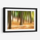 Forest Run Iii - James McLoughlin | Cuadro decorativo de Canvas Lab