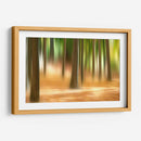 Forest Run Iii - James McLoughlin | Cuadro decorativo de Canvas Lab