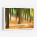 Forest Run Iii - James McLoughlin | Cuadro decorativo de Canvas Lab