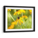 Susan Estudio I - James McLoughlin | Cuadro decorativo de Canvas Lab