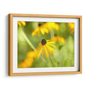 Susan Estudio I - James McLoughlin | Cuadro decorativo de Canvas Lab