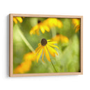 Susan Estudio I - James McLoughlin | Cuadro decorativo de Canvas Lab