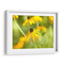 Susan Estudio I - James McLoughlin | Cuadro decorativo de Canvas Lab