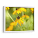 Susan Estudio I - James McLoughlin | Cuadro decorativo de Canvas Lab