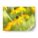 Susan Estudio I - James McLoughlin | Cuadro decorativo de Canvas Lab