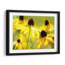 Susan Study Ii - James McLoughlin | Cuadro decorativo de Canvas Lab