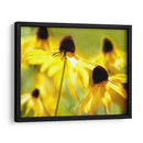 Susan Study Ii - James McLoughlin | Cuadro decorativo de Canvas Lab