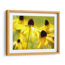 Susan Study Ii - James McLoughlin | Cuadro decorativo de Canvas Lab