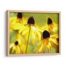 Susan Study Ii - James McLoughlin | Cuadro decorativo de Canvas Lab