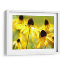 Susan Study Ii - James McLoughlin | Cuadro decorativo de Canvas Lab