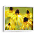 Susan Study Ii - James McLoughlin | Cuadro decorativo de Canvas Lab