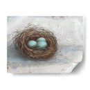 Nido De Pájaro Rústico I - Ethan Harper | Cuadro decorativo de Canvas Lab
