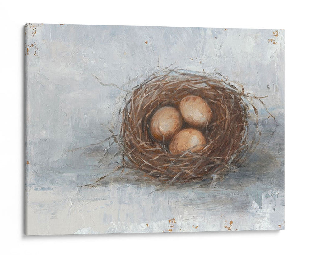 Pájaro Rústico Nest Ii - Ethan Harper | Cuadro decorativo de Canvas Lab