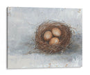Pájaro Rústico Nest Ii - Ethan Harper | Cuadro decorativo de Canvas Lab