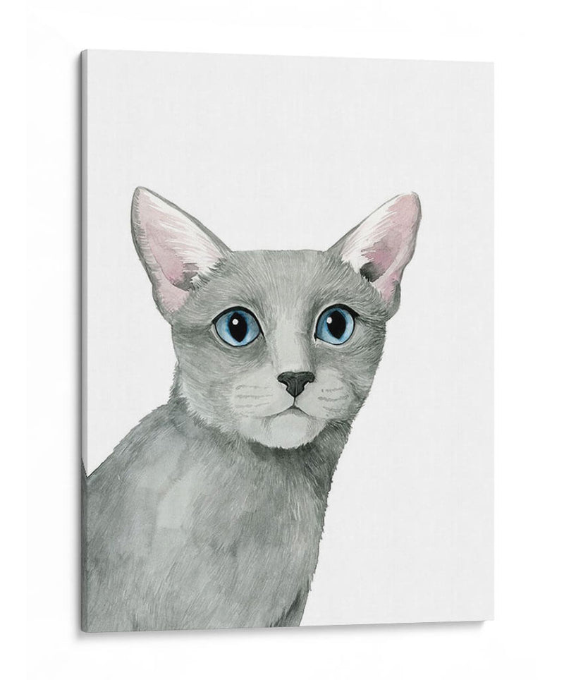 Retrato De Gato I - Grace Popp | Cuadro decorativo de Canvas Lab