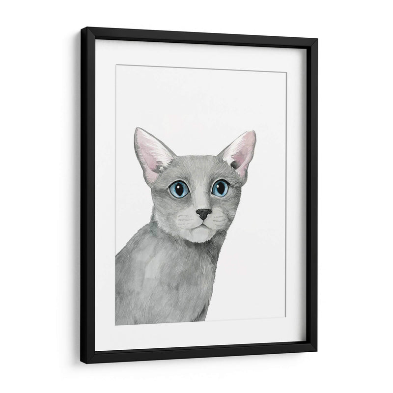 Retrato De Gato I - Grace Popp | Cuadro decorativo de Canvas Lab