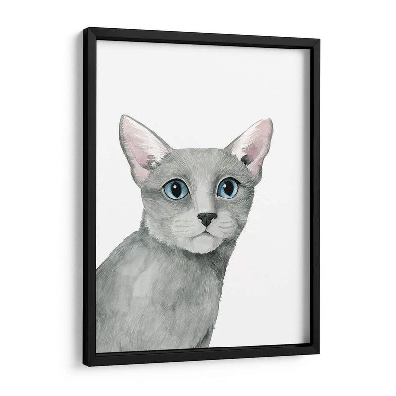 Retrato De Gato I - Grace Popp | Cuadro decorativo de Canvas Lab