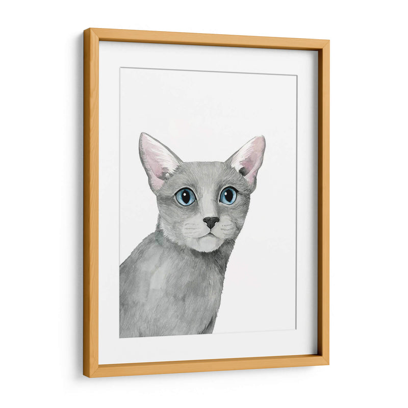 Retrato De Gato I - Grace Popp | Cuadro decorativo de Canvas Lab