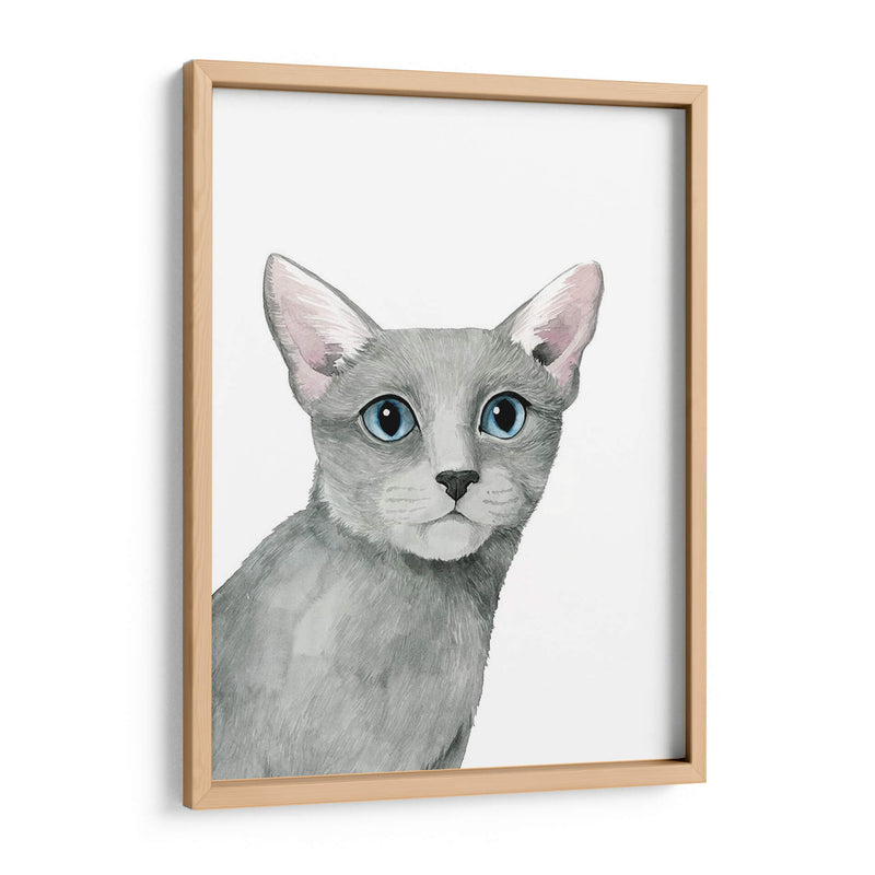 Retrato De Gato I - Grace Popp | Cuadro decorativo de Canvas Lab