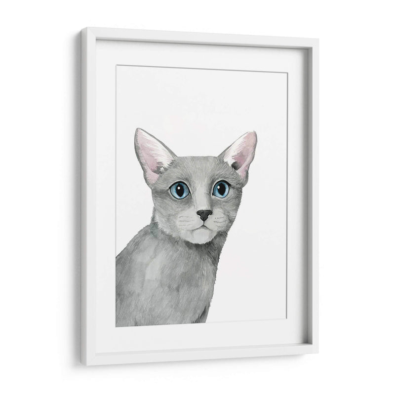 Retrato De Gato I - Grace Popp | Cuadro decorativo de Canvas Lab