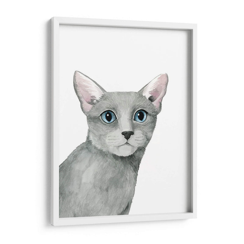 Retrato De Gato I - Grace Popp | Cuadro decorativo de Canvas Lab