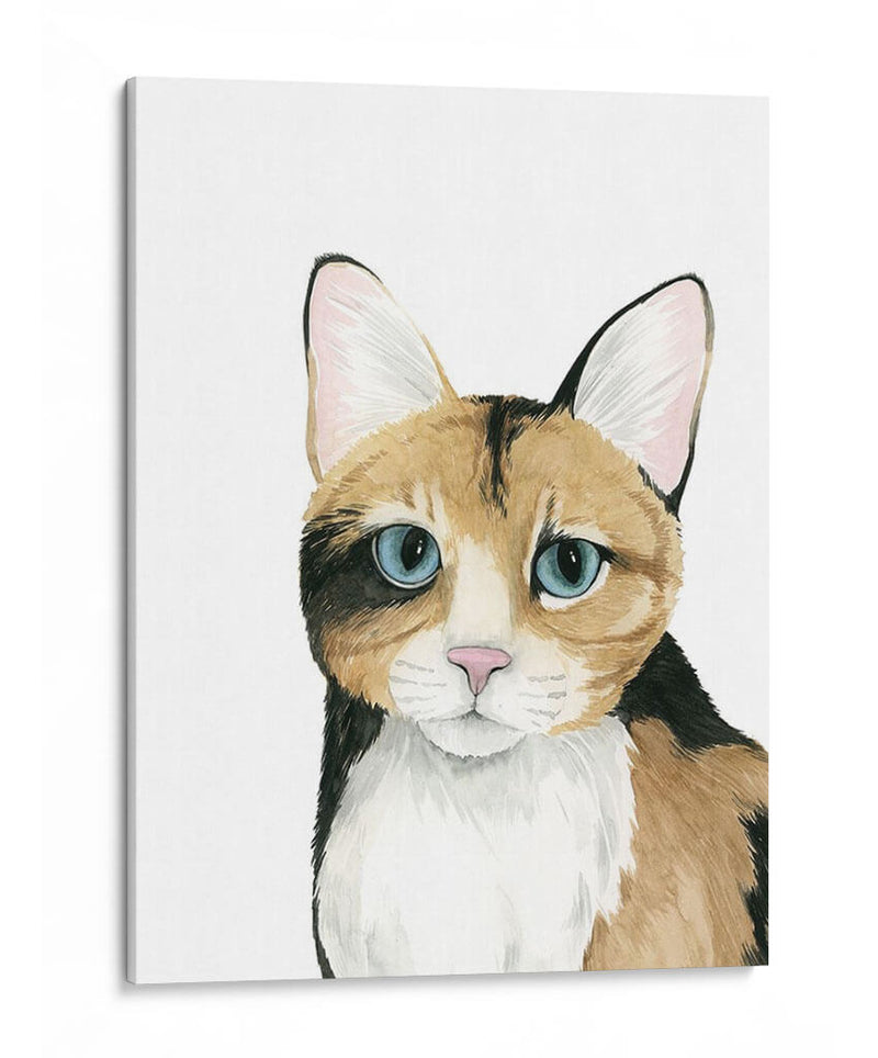 Cat Retrato Ii - Grace Popp | Cuadro decorativo de Canvas Lab