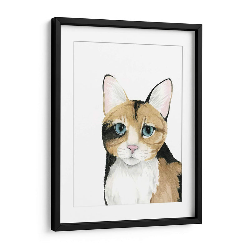 Cat Retrato Ii - Grace Popp | Cuadro decorativo de Canvas Lab