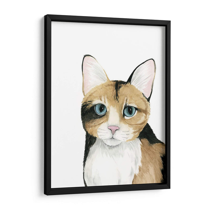 Cat Retrato Ii - Grace Popp | Cuadro decorativo de Canvas Lab