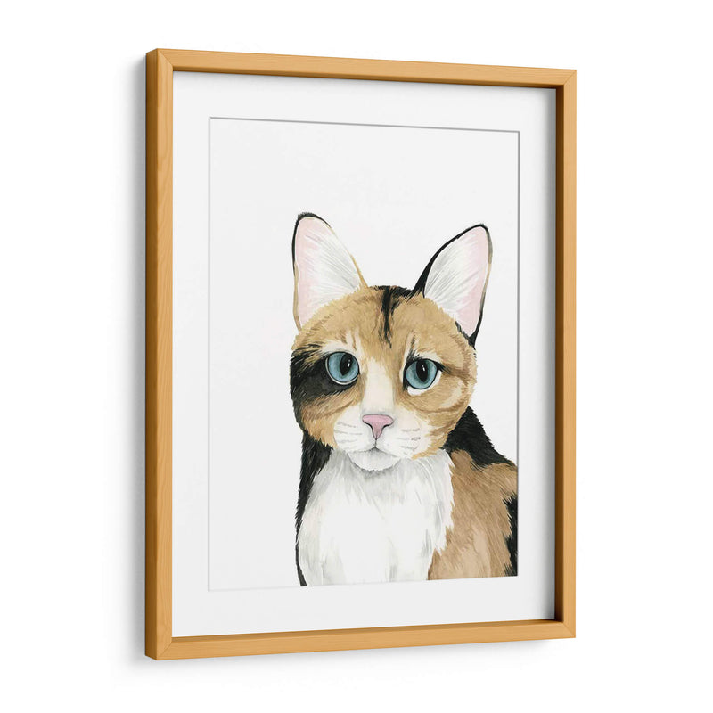 Cat Retrato Ii - Grace Popp | Cuadro decorativo de Canvas Lab