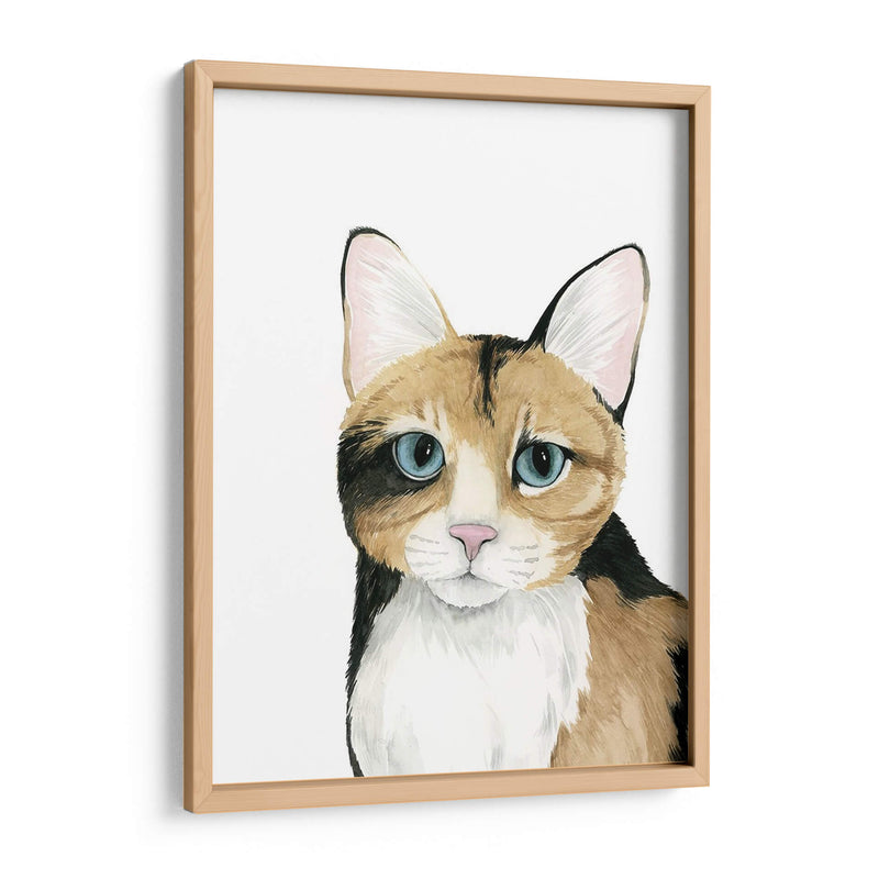 Cat Retrato Ii - Grace Popp | Cuadro decorativo de Canvas Lab