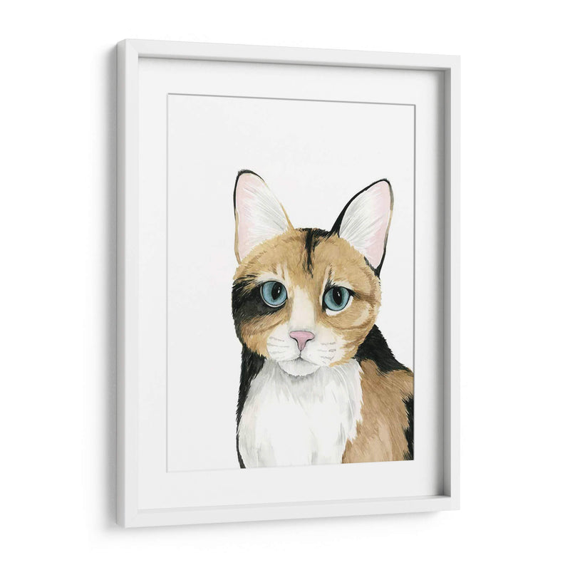 Cat Retrato Ii - Grace Popp | Cuadro decorativo de Canvas Lab