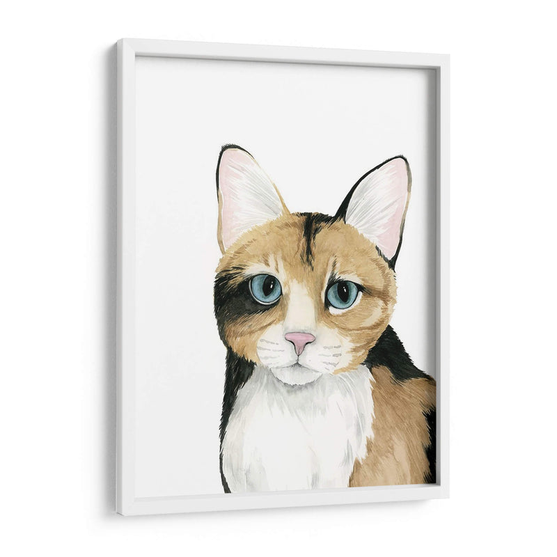 Cat Retrato Ii - Grace Popp | Cuadro decorativo de Canvas Lab